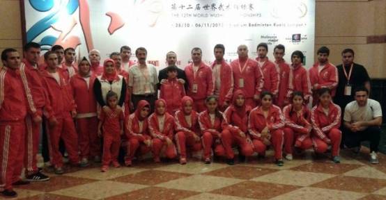 2013 MİLLİ TAKIMLAR