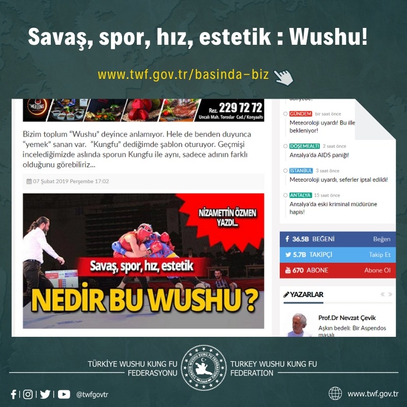 Savaş, spor, hız, estetik : Wushu!