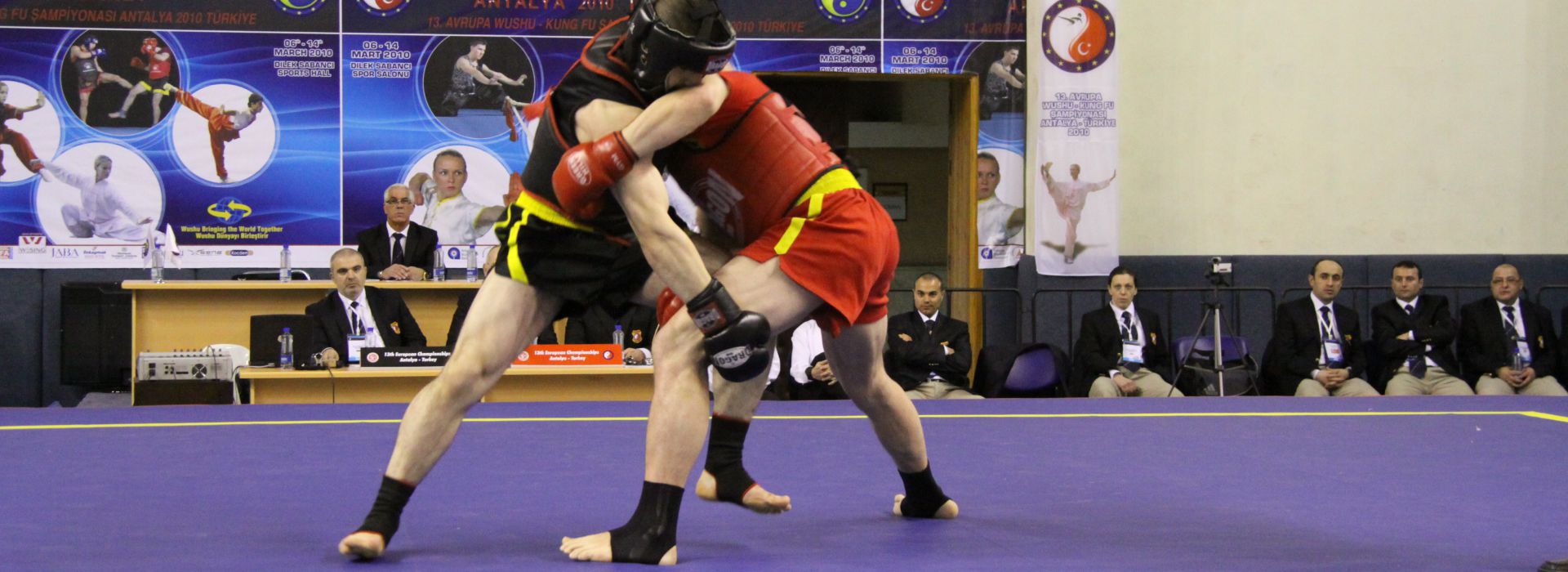 WUSHU SANDA - QINGDA